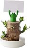 Brazilian Wood Plant, Brazilian Lucky Wood Plant, Brazilian Wood Hydroponic Plant for Purifying Indoor Air, Mini Lucky Bamboo Wood with Tray for Desktop Decoration