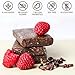 Cibáre Probiotic Protein Bars - Plant-Based Snack with 1 Billion Probiotics, No Added Sugar, Gluten-Free, Soy-Free, Vegan, Raspberry Cacao Crunch (12 Count)