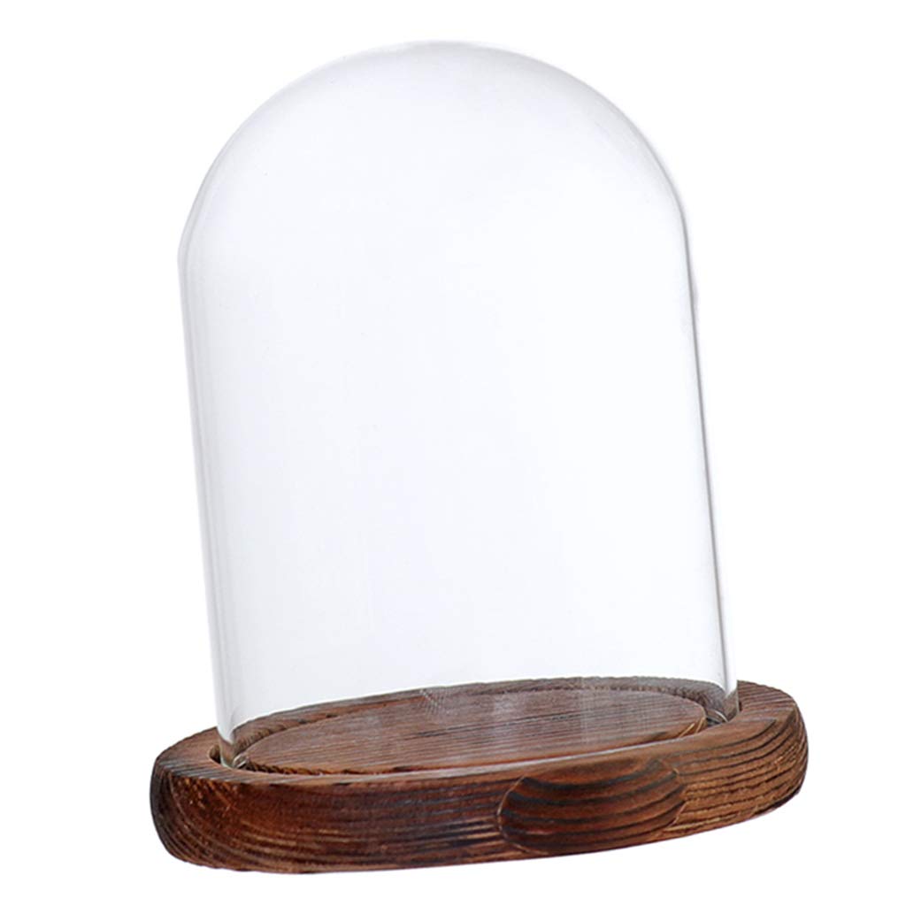 Fenteer Glashaube Glasglocke Glassturz mit Holzboden DIY Landschaften Fairy Garten Terrarium, Braun B