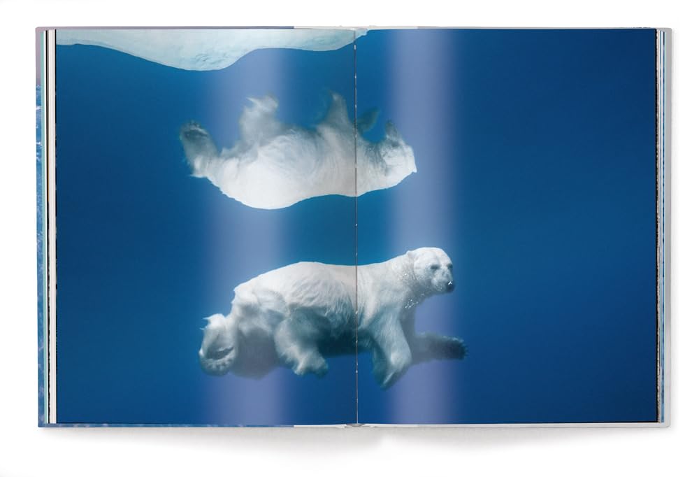 Born to ice. Ediz. a colori