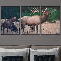 3 Piece Framed Canvas Wall Art Spiritual Animals Deer Canvas Prints Home Artwork Decoration for Living Room,Bedroom - 16