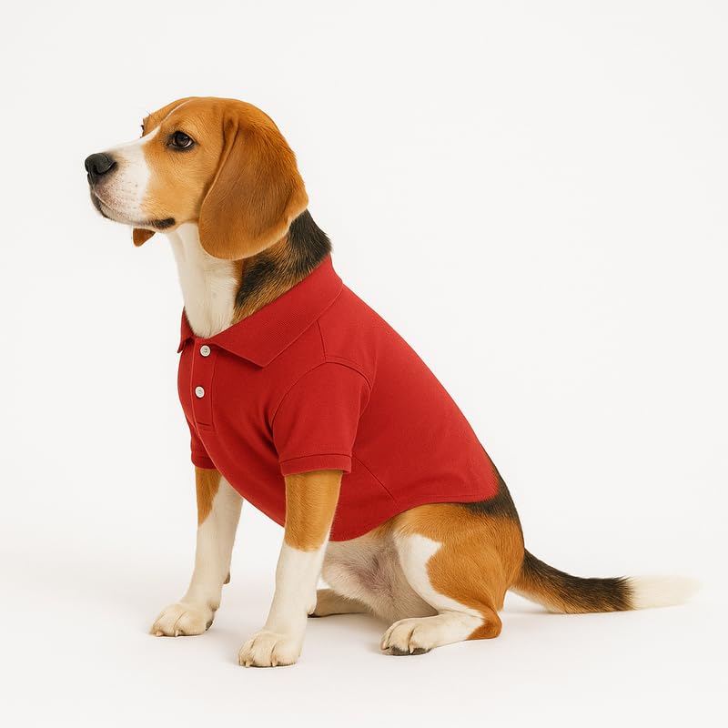 Image of Thunder Tails Premium Cotton Polo Dog T-Shirt | for Large Dogs | Red | 4XL | for Lean Labrador, Golden Retriever, German Shepherd, Rottweiler, Husky & Chow Chow