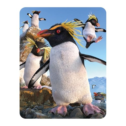 3D LiveLife Magnet - Rockhoppers from Deluxebase. Lenticular Animal Fridge Magnet. Decorative 3D Penguin Flat Magnets. Cute Small Magnets for Fridge, Dishwasher and Whiteboard.
