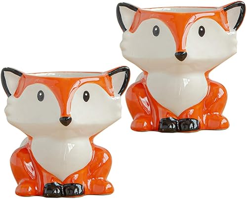 Abaodam 2 macetas de zorro para suculentas, para regalo de macetas, amantes de las flores, 2 regalos, macetas de dibujos animados para jardín,
