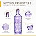 BULK PARADISE Assorted Purple Glass Bottles with Corks, 6 Pack, 2.5in X 9in, 16oz