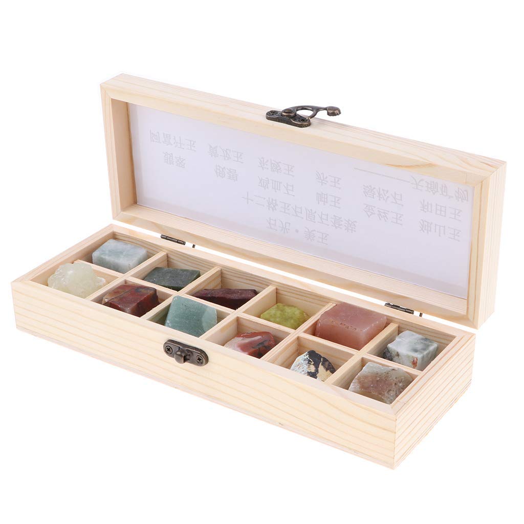 Buy Tenlacum Box Educational Geology Science Kit Rock and Mineral