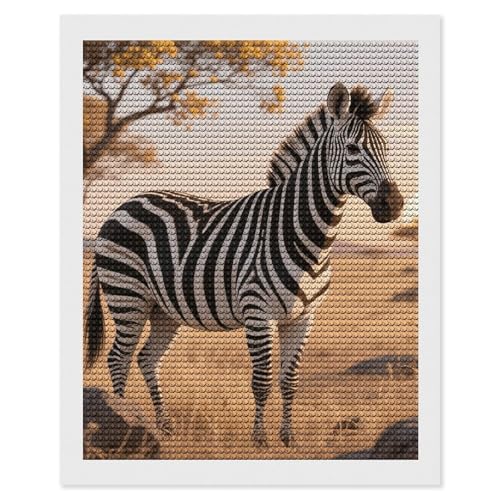 Kit peinture diamant 5D maccbn à strass brillants avec outils de perçage précis 40x50cm