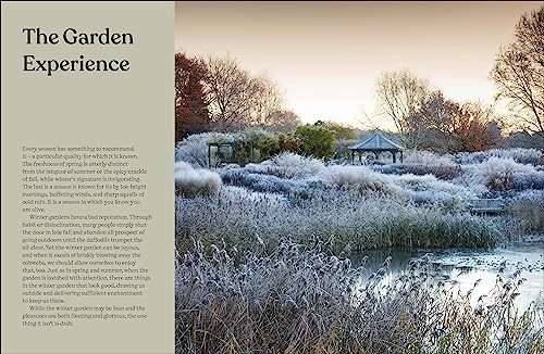 The Winter Garden: Celebrate the Forgotten Season