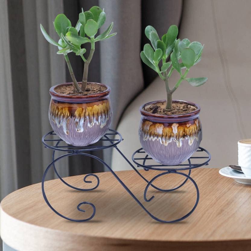 Appeasy Metal 2 Tier Table Plant Stand Pot Stands for Plants in Balcony, Home Decor, Indoor and Outdoor Use Gamla Stand (Pack of 1), Black (B09SB9RDC7) Amazon Price History, Amazon Price Tracker