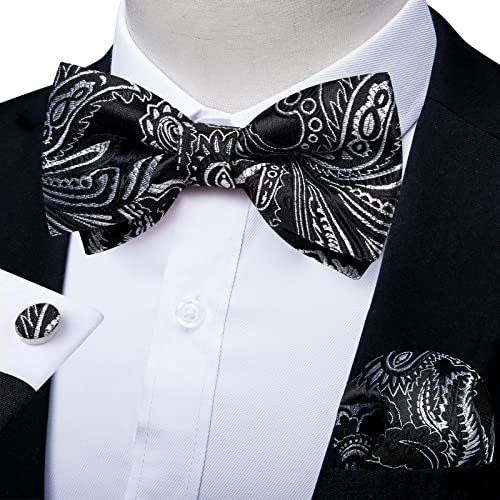Image of DiBanGu Paisley Pre-Tied Bow Ties for Men Silk Adjustable Bowtie and Pocket Square Cufflinks for Wedding Party