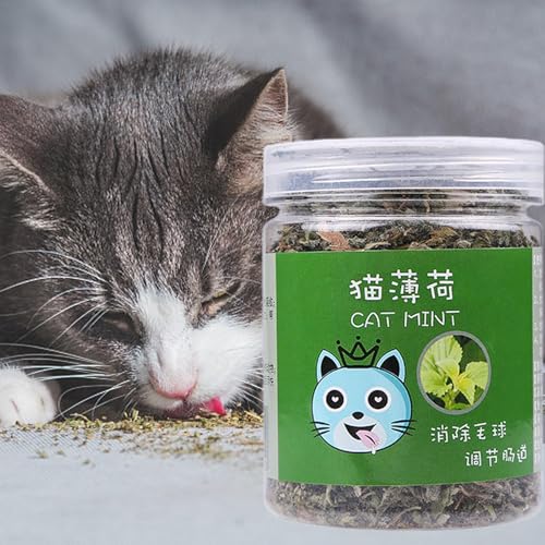 Katzenminze für Katzen, Katzenminzenstäbchen für Kätzchen, Nips für organische Katzen, natürlich, zur Energie und Erregung von Katzen, Training für Katzen mit 20 g und neues Bio-Spielzeug