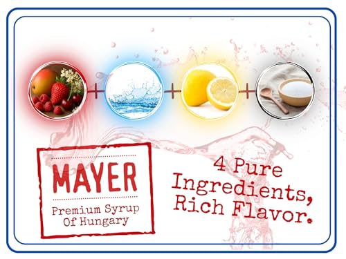 Image of Premium Artisan Hungarian Strawberry, Raspberry, Elderflower, Sour Cherry, Mango Syrups - Award-Winning, All-Natural, Vegan, Gluten Free, Dairy Free, Fat Free, Versatile for Beverages & Desserts - No Artificial Additives, Rich Authentic Flavor