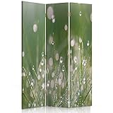 Ideal für Häuser und Laden Feeby Paravent Tautropfen 3 Teilig 110x150 cm Modern Design Einseitig Raumteiler Wandschirme Foto Trennwand Raumtrenner Sichtschutz Spanische Wand Auf Leinwand Bedruckt Gras Grün Weiß