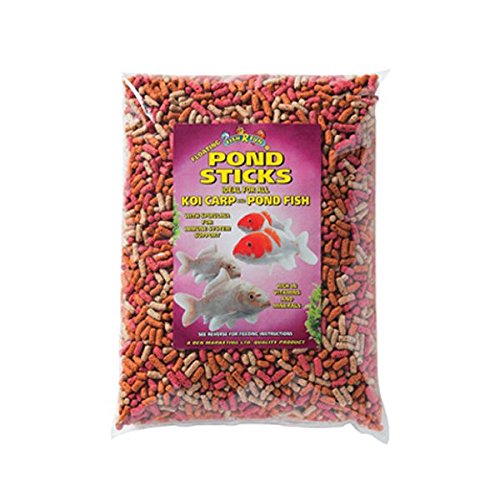Fish R Fun Pond Sticks 1kg Complete Floating Koi Carp Diet with Immune System Support Feed, Rich in Vitamins