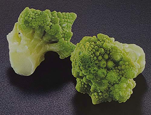 }lXN@Jt[@500×20oiP55j@Ⓚ@Ɩp