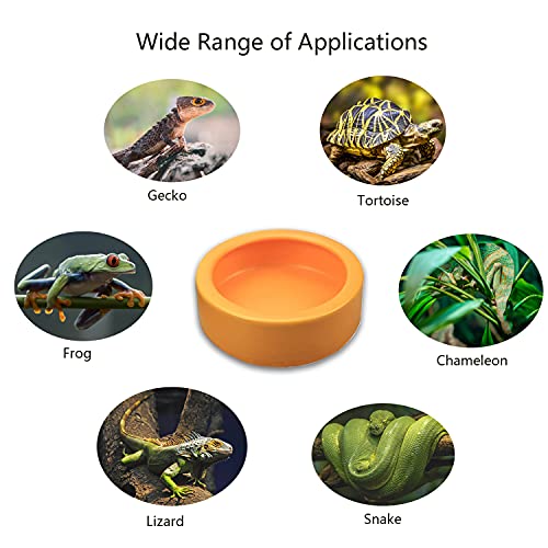 2 Pack Worm Dish Reptile Food Bowl Bearded Dragon Ceramic Bowl with Feeding Tongs (Yellow-Medium) - Image 6