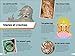 Myths and Legends Ultimate Handbook: More than 200 Heroes, Villains and Mythical Creatures from Around the World