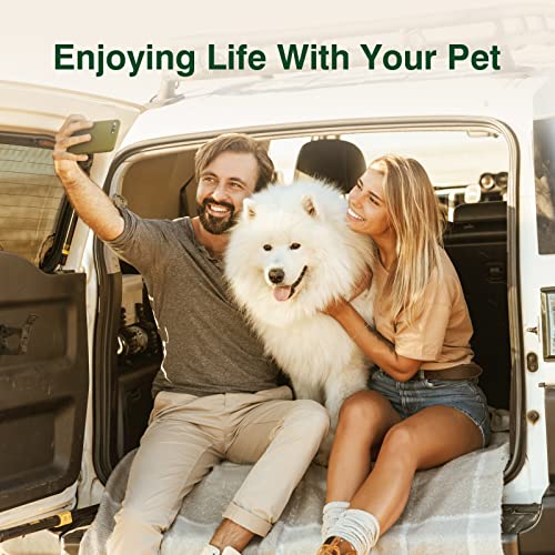 Mxyoo Bitter Spray For Dogs To Stop Chewing，No Chew Spray For Puppies And Cats，Powerful Bitter Deterrent Stop Pets From Chewing On Furniture,Shoes，No Licking Of Fur, Bandages, Wounds #TOP6
