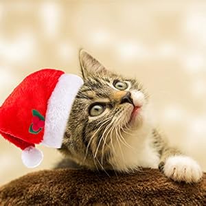   3-PCS-EZMeetU-Cat-Santa-Hat-with-Jingle-Bells-Collar-and-Bow-Tie-Christmas-Costume-Set-for-Cat-Adjustable-Xmas-Outfit-Suit-Clothes-for-Pets-Small-Dog-Puppy-Kitty-Xmas-Pet-Gift-Present