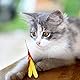 Pawaboo Katzenspielzeug - Interaktives Katzenangel Katze Spielzeug Katzen-Spielstab Katzenspielzeug-Stab mit Federn und 38,6 Zoll Stab und Glocken für Kätzchen oder Katze, Bunte Streifen