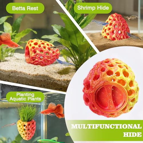 Image of Shrimp Dome Hide, Shrimp Hides for Aquarium, Betta Fish Hideout with Suction Cup, Betta Habitat Tank Ornament Accessories, Aquarium Decor for Small Fish Guppy Hiding Resting (Lid Gold Red)