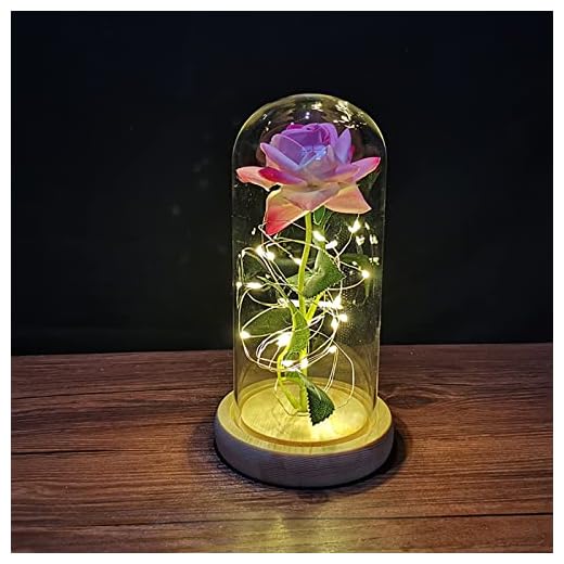 ZWMBYN Presentes de Dia dos Namorados Rosa A Bela e a Fera para ela, Acenda para sempre Galaxy Rose em cúpula de vidro, flor artificial rosa de vidro presente para mulheres no aniversário, Natal, aniversário de casamento, Dia das Mães