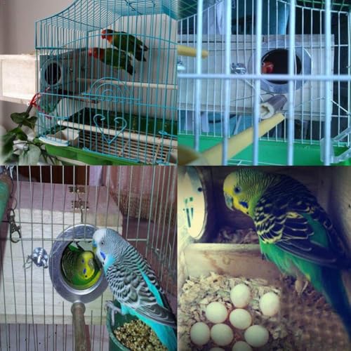Image of Parakeet Nesting Box, Bird Nest Breeding Box Cage Wood House for Finch Lovebirds Cockatiel Budgie Conure Parrot, 8'' X 5'' X 5''