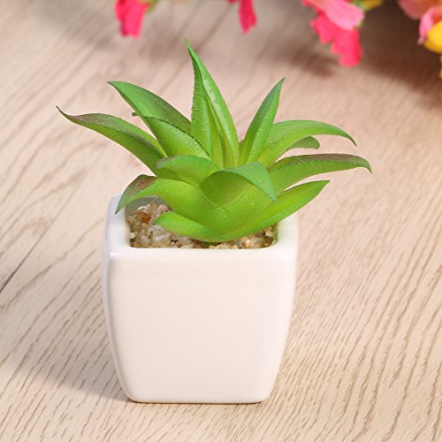 WINOMO 3 peças de mini plantas suculentas artificiais com vaso de cerâmica branca