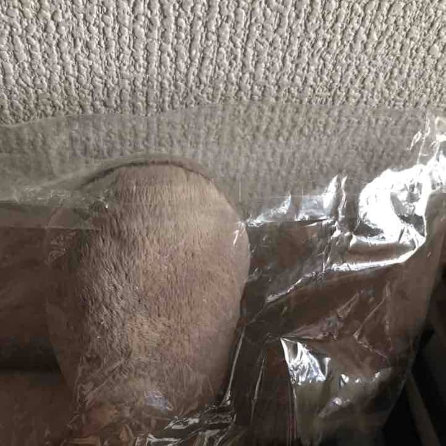 Amazon.co.jp: YUKI ニールくん クッション : ホビー