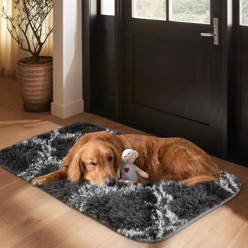 Saure Zitronen-Fußmatte, 50 x 80 cm, Schmutzfänger, maschinenwaschbare, weiche Fußmatte, Hunde-Fußmatte, Willkommensmatte für schlammige, nasse Schuhe und Pfoten
