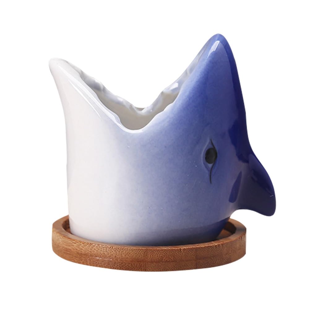 Pot de fleurs requin en céramique DOITOOL pour plantes succulentes