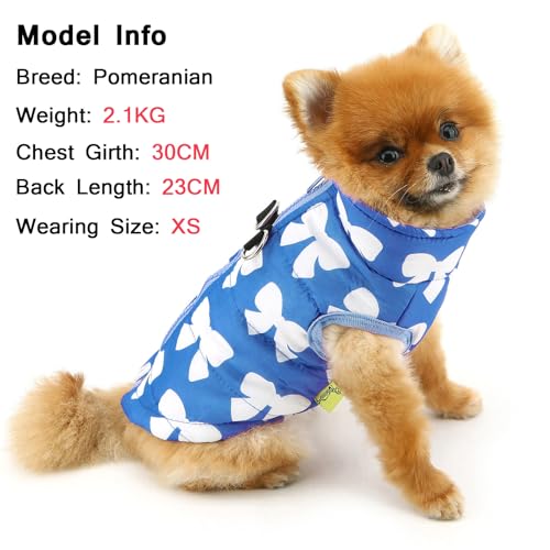 Image of SMALLLEE LUCKY STORE Dog Coat with D-Ring for Small Dogs, Dark Blue, L
