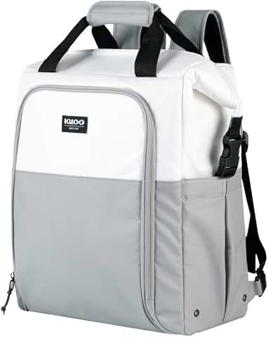 igloo mickey backpack