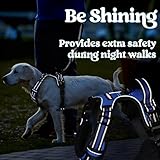 rabbitgoo Dog Harness Medium with Neck Release Buckle, Adjustable No Pull Harness with Front Back Clips, Soft Padded with Easy Control Handle, Reflective Pet Walking Vest, Blue, M - Image 9