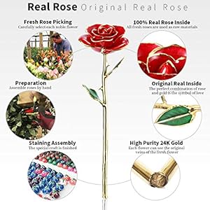 Valentines Day Gift Rose,24k Gold Real Rose Gift for her and Great Valentines Gift for her Rose, red Rose with Stand Valentines Day Gift Rose24k Gold Real Rose Gift for her and Great Valentines Gift for her Rose red Rose with Stand