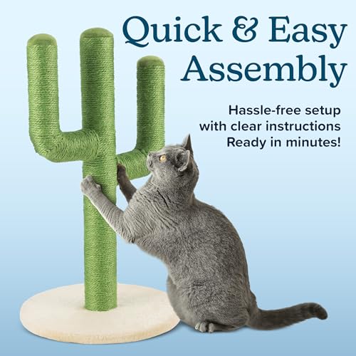 24” Tall Cat Scratching Post - Vertical Cactus Scratch Post for Indoor Cats - 360 Degree Jute Rope-Covered Kitten Scratcher with 3 Branches and Sturdy Base by PETMAKER (Green)