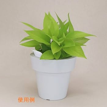 専用❤みかん❤超贅沢プレミアムミンク★超極暖Wボア⭐特大ブランケット⭐茶緑 超感謝特価❤みかん❤超贅沢プレミアム☆極暖Wボア⭐大きめ