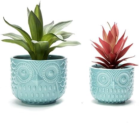 Nattol Owl Succulent Planter, Turquoise Animal Ceramic Planter Pots with Drainage, Set of 2