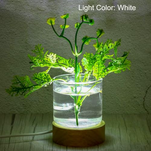 Image of 2-Pack Wooden Light Base - LED Lighted Stand Display for Crystals,Stones,Quatz (2.5in Diameter)