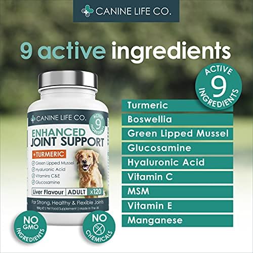 Enhanced Adult Dog Joint Supplements | Dog Anti Inflammatory | Joint Aid For Dogs | 120 Chewable Tablets | Turmeric & Glucosamine For Dogs & Green Lipped Mussel | Made In The UK (1 Pot (120 Tablets))