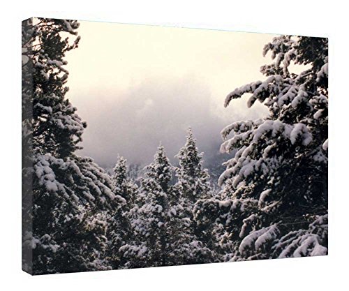 Cadre Arbre d'hiver pour habiller un mur vide avec une toile tendue facile à installer