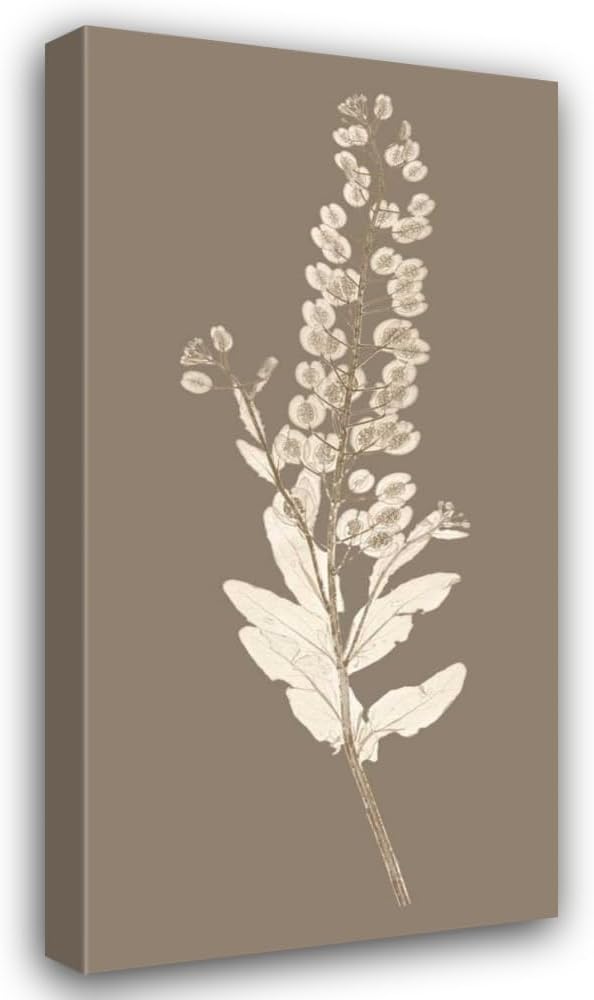 ArtDirect Taupe Nature Study III 11x18 Black Modern Wood Framed with Double Matting Museum Art Print by Vision Studio