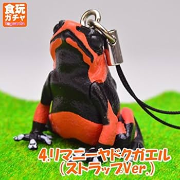 Amazon.co.jp: 【ヤドクガエル マグネット × ストラップ】リマニー