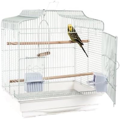*New* Rainforest Cages Costa Rica Small Bird Cage (White)