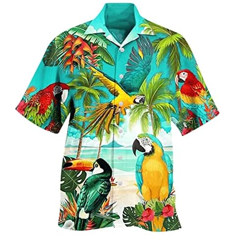 Funny and Casual T-Shirts for Men Cover