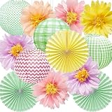 Décoration Jardin Anniversaire , Garden Party, Lot de Lanternes, Pompons et Éventails en P...