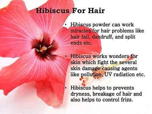 Natural health products Hibiscus Powder Organic, Rosa Sinensis, Shoeblackplant, Tea, Drinking, Eating, Herbal Hair Growth, Thicker & Stronger (100Gm) 4