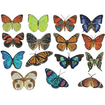 butterfly machine embroidery designs