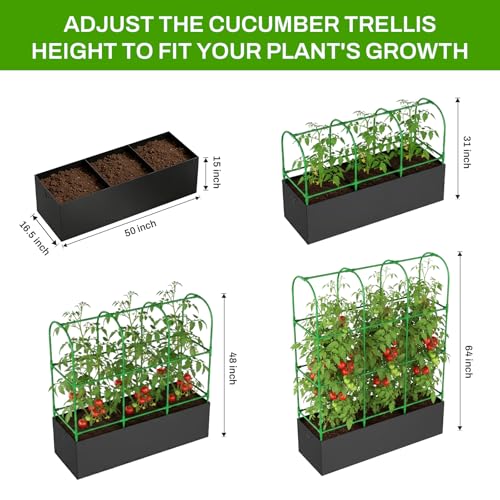 U-Shape Cucumber Trellis with Grow Bag, 64" Tall Metal Garden Trellis for Climbing Plants Outdoor, Reusable Cucumber Trellis for Raised Bed with Garden Netting for Tomatoes, Peas, Plant Vines Support by MQHUAYU - Used condition - Image 4