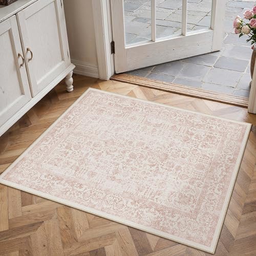 Pink Entryway Area Rug 2x3 Door Mat Machine Washable Kitchen Vintage Distressed Non Slip Carpet Indoor Retro Floral Accent Throw Small Rug for Bathroom Office Bedroom Dining Room
